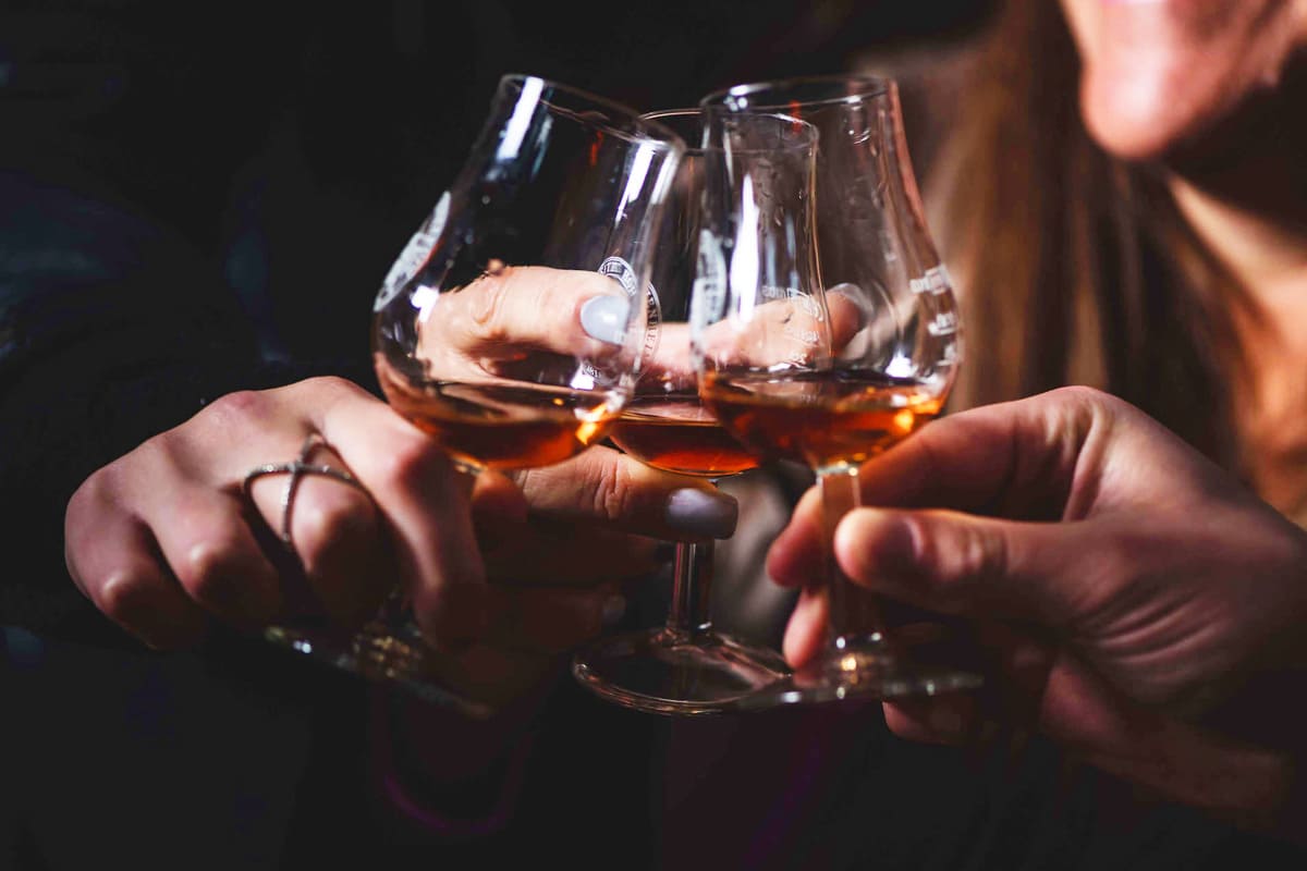 ehkskursiya-na-likero-vodochnyj-zavod-hollander