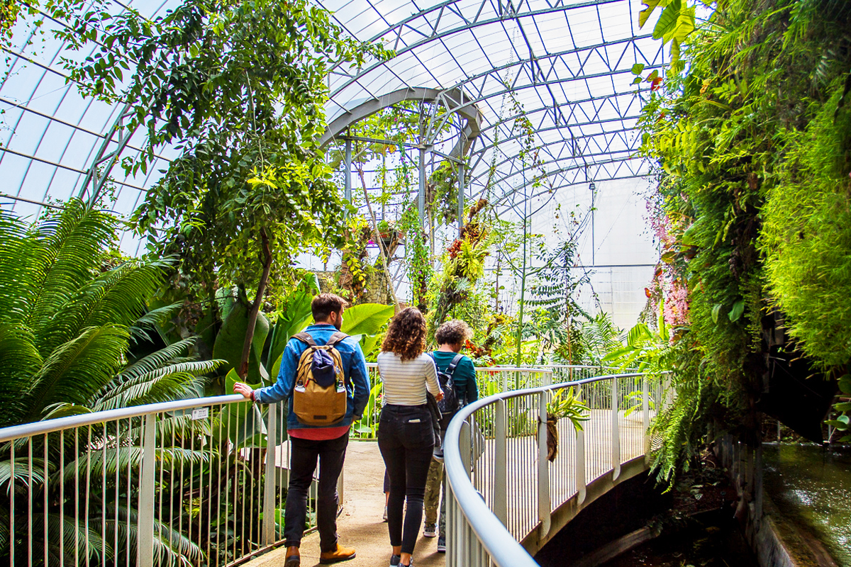 paskha-v-botanicheskom-sadu