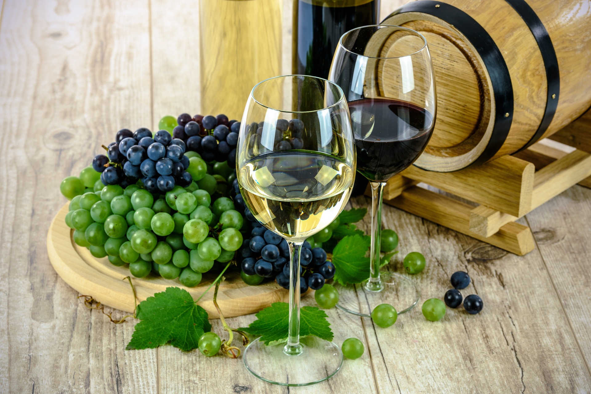 Private wine tours in Israel