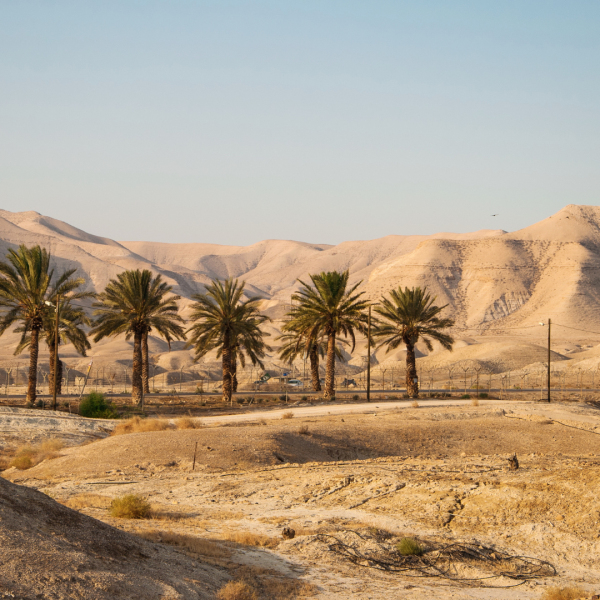 Tour from Jerusalem to Judean Desert
